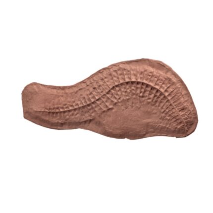 FELCE FOSSIL - MATRICE IDEAL WALL