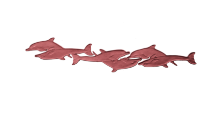 MATRICE BORDER ART DOLPHINS